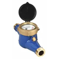 PULSAFEEDER Mechanical Flowmeter: Water Meter, Water, Brass, 3/4 in NPT, 3/4 in Connection Size, NPT (MPN MTR100-G)
