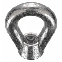 Eye Nut: 3/4"-10 Thread, Stainless Steel, Plain, Oval, 1 1/2 in Inside Dia, 2 1/2 in Outside Dia (MPN EN-8-316SS)