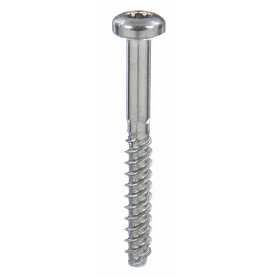 TAMPER-PRUF SCREW Sheet Metal Screw: #2 Size, 1/2 in Lg, Stainless Steel, Plain, Torx Plus - Pan Head Sheet Metal Screws