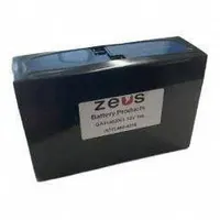 ZEUS BATTERY PRODUCTS Sealed Lead Acid Batteries: 12V DC, 13 Ah Capacity, 5.53 in Ht, 2.8 in Wd, ABS (MPN GA31462001)