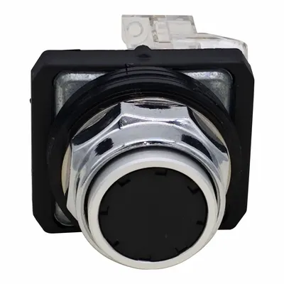 Dayton Flush Push Button Operator: Non-Illuminated, Flush Profile, Metallic, 30 mm - Flush-Mount Push Buttons