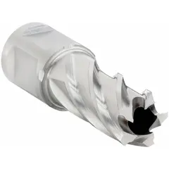 This high-speed steel annular cutter produces clean, accurate holes in metal fabrication and structural steel work. With a 13 mm cutter diameter and 1 in maximum cutting depth, it is suited for cutting steel plates and beams. The bright finish and Weldon Flat shank ensure secure tool holding.