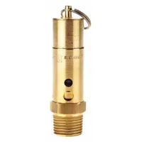 CONRADER Safety Valve: Hard Seat, 1/2 in (M)NPT Inlet (In.), 1/2 in (F)NPT Outlet (In.), Brass (MPN SRH375-1/2-250 SST)