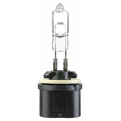 OEM Halogen Bulb: Halogen - PG13 Axial Base Lamps