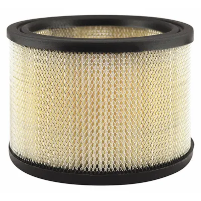 BALDWIN FILTERS PA2064 Round/Oval Engine Air Filter - Round/Oval Engine Air Filters