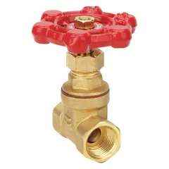 This brass gate valve features a non-rising stem design and FNPT x FNPT connections. It is constructed with a brass wedge and bonnet, rated for a maximum pressure of 200 psi (CWP). Suitable for on/off control in general-purpose plumbing and fluid-handling systems.