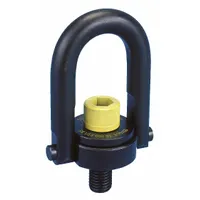 Pivot and rotate hoist ring for lifting and pulling operations. Constructed from black oxide-coated steel with a 1"-8 thread size. Maximum capacity of 10,000 lb. Suitable for use as a lifting point on machinery, dies, and molds in industrial rigging and material handling applications