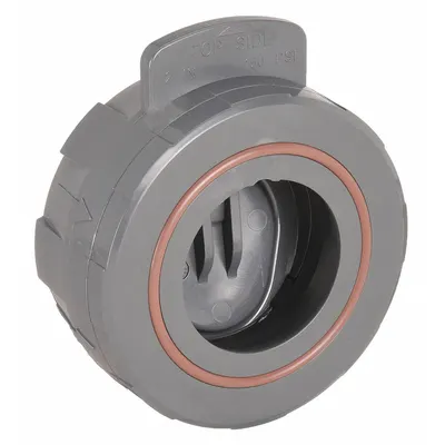 HAYWARD Wafer Check Valve: Swing, Inline Valve Body, 2 in Pipe Size, Wafer, PVC - PVC Wafer Swing Check Valves