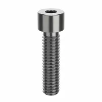 Socket Head Cap Screw: 5/16"-18 Thread Size, 1 1/4 in Lg, Std, NL-19, Stainless Steel, 18-8, 25 PK (MPN FBSCAPS51618114P25)