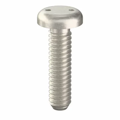 TAMPER-PRUF SCREW Tamper Resistant Screw: 1/4"-20 Thread Size, 1 in Lg, Stainless Steel, Plain - Pan Head Tamper-Resistant Machine Screws