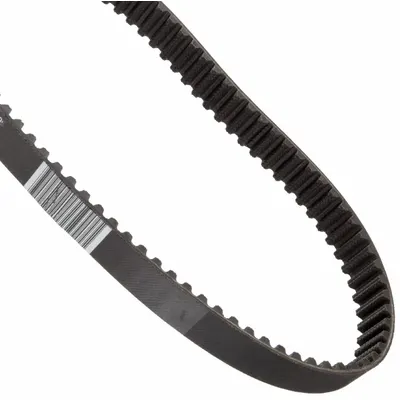 CONTINENTAL Timing Belt: One Side, Curvilinear, Conti Hawk PD, 20 mm Pitch, 290 mm Top Wd - HTD Section Timing Belts