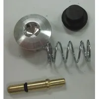 GUARDAIR Valve Repair Kit: 5 13/32 in Overall Lg, 74PK01