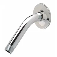 ZURN Shower Arm: Compatible Product Type Wall-Mounted Showerheads, Brass, NPT Connection (MPN Z7000-A1)