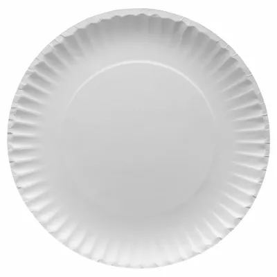 OEM Disposable Paper Plate: White - Paper Plates
