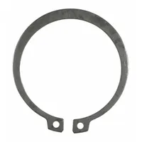 DAYTON Snap Ring: For 2ZE60, Fits Dayton Brand (MPN MH60-7G)
