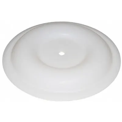 Dayton Replacement Diaphragm, PTFE, 2 in Pump Size, 40°F to 212°F, 770815 - Dayton Replacement Diaphragms