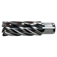 This high-speed steel annular cutter produces clean holes in structural steel, plate, and pipe. It has a 2-3/4 in cutter diameter and a 4 in maximum cutting depth. The bright finish and Weldon Flat shank suit use with magnetic drill presses and portable drilling equipment in fabrication and construction.