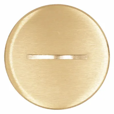HUBBELL WIRING DEVICE-KELLEMS Flush Replacement Plug: Round, Brass, Hubbell - Insert Plugs & Accessories for Floor Boxes