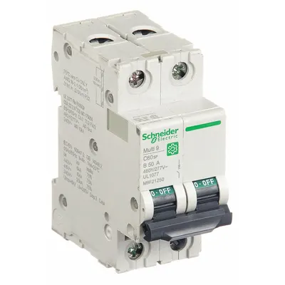 SCHNEIDER Supplementary Protector: 50 A Amps, 10kA at 240V AC, Screw Clamp, C60SP - B-Curve, 2-Pole UL1077 DIN Rail-Mount Supplementary Protectors