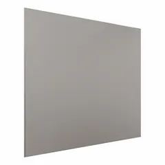 This HADRIAN partition panel is constructed from 304 stainless steel with a brushed silver finish. It measures 58 inches in height, 76 inches in width, and 1 inch in thickness. The door swing is left hand in/right hand out. Commonly used in commercial restroom partitions to provide privacy and separation.