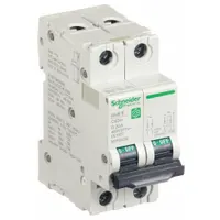 SCHNEIDER IEC Supplementary Protector: 20 A Amps, 14kA at 240V AC, Screw Clamp, C60SP, D (MPN M9F23220)