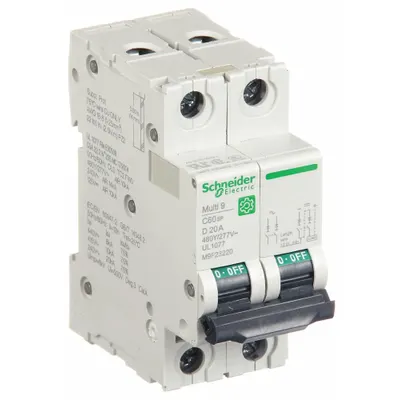 SCHNEIDER IEC Supplementary Protector: 20 A Amps, 14kA at 240V AC, Screw Clamp, C60SP - D-Curve, 2-Pole UL1077 DIN Rail-Mount Supplementary Protectors