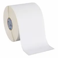 DYMO Printer Label: 4 in Label Wd, 2 5/16 in Label Ht, White, 1 in Core Dia., 300 PK (MPN 30256)