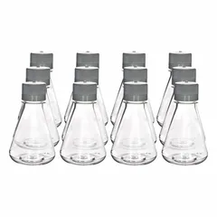 Erlenmeyer Flask, PETG, 250 mL, Sterile, CH5232PK12