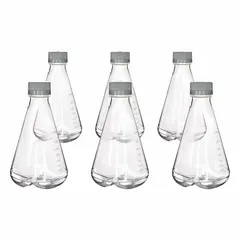 PETG Erlenmeyer Flask, 1 L, Sterile, CH5264PK06