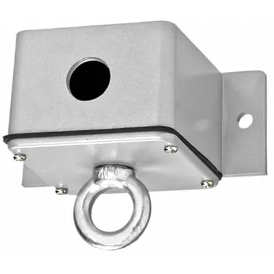 AMERICAN GARAGE DOOR SUPPLY Ceiling Pull Switch: Open-Close, SPST, Indoor/Outdoor - Pull Switches