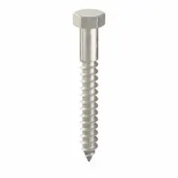 Hex Head Lag Screw: 1/4 in Size, 2 in Lg, Stainless Steel, NL-19, 25 PK (MPN FBLB142P25)