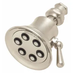 Fixed showerhead with multi-pattern spray options. Constructed of brass with a multi, combo finish. Flow rate is fixed at 2 gpm. Suitable for bathroom installations requiring consistent water coverage.