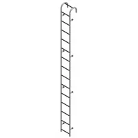 COTTERMAN Straight Ladder: 13 ft Ladder Size, Steel, 300 lb Load Capacity, 57 lb Wt, 13 Rungs (MPN ST13AL C1)