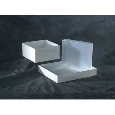 OEM Lab Tray: Rectangular - Rectangular Lab Trays