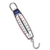TAYLOR Mechanical Hanging Scale: kg/lb, 1 lb/500 g, Analog Linear, 70 lb Wt Capacity - Imperial (MPN 3070)