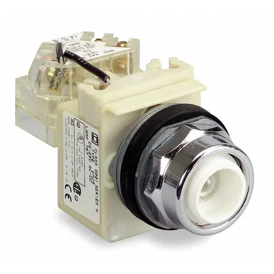 SCHNEIDER Pilot Light: 30 mm Panel Mounting Size, No Lens Included - Incandescent Pilot-Lights without Lenses