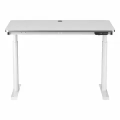 This electric adjustable-height desk features a white laminate top with wood finish and a steel frame. Overall dimensions are 48 in width by 30 in depth. The motorized height adjustment allows users to alternate between sitting and standing positions, reducing fatigue in office, industrial, and technical work environments.