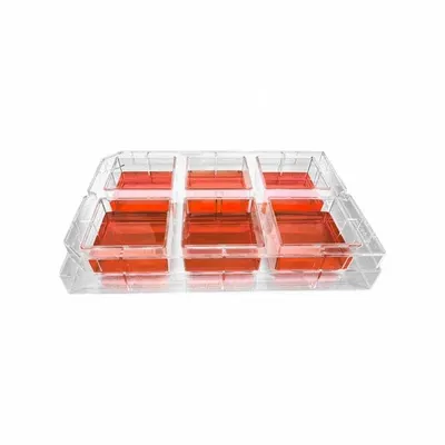 HEIDOLPH Tissue Culture Well Plate: Sterile, 6 Wells, 4 mL, Round - Cell Culture Plates
