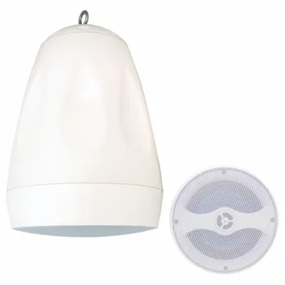 SPECO TECHNOLOGIES Speaker: Passive, 2-Way, 8 ohm Impedance, 12 1/2 in Overall Ht - Pendant-Mount Speakers